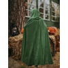 image:imageBEAUTELICATE Renaissance Hooded Cloak Cosplay Medieval Hobbit Halloween Suede Wizard CapeMoss Green